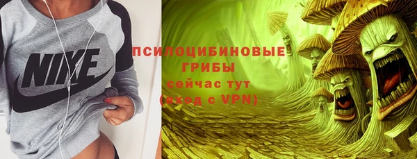 стафф Алзамай