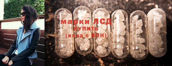 стафф Алзамай