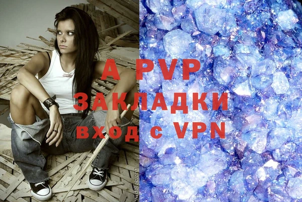 стафф Алзамай